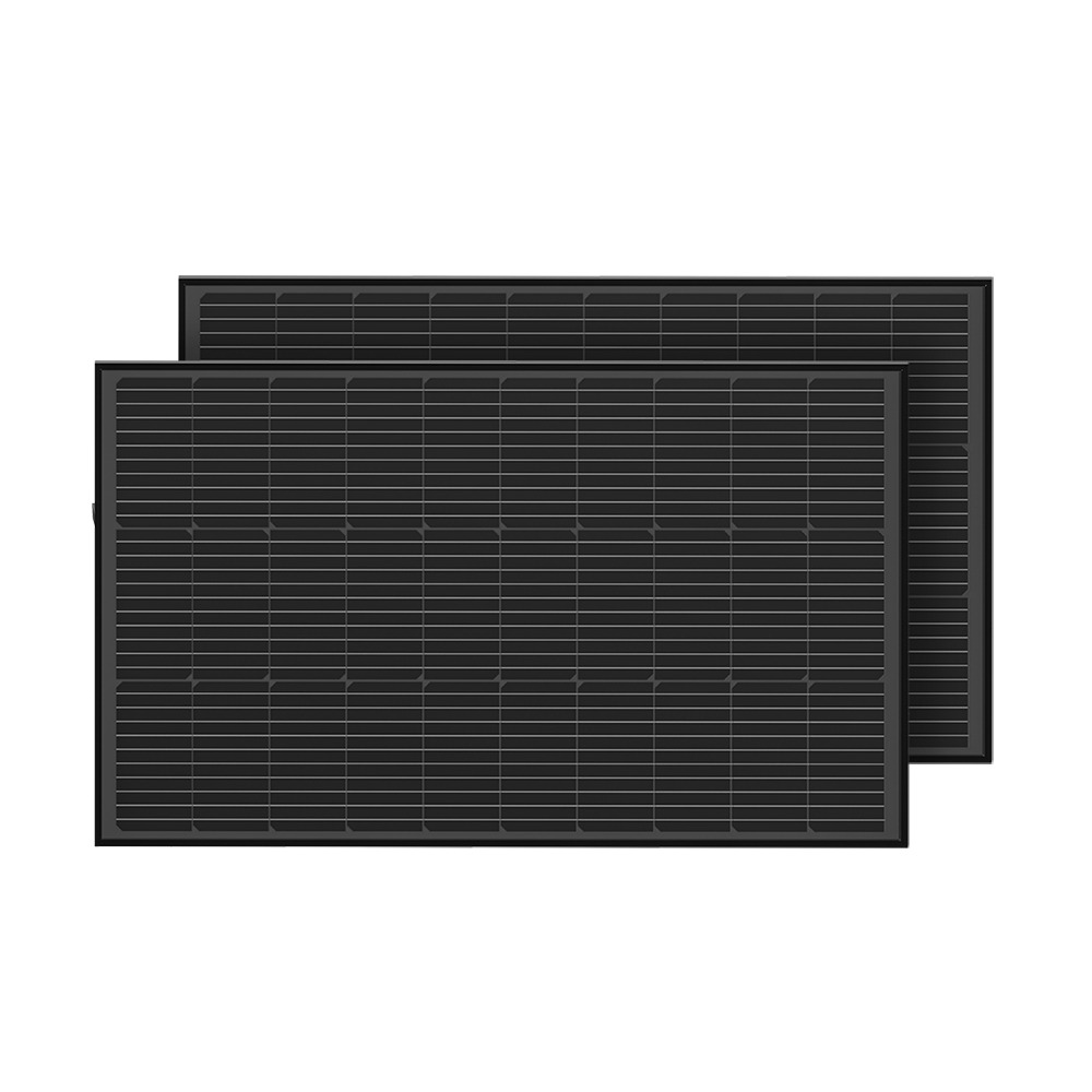 Panneau solaire EcoFlow 2 × 100 W avec supports de montage